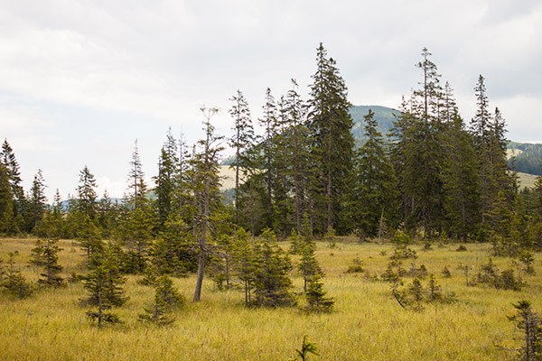 Wiaz`Haus Orthofer Destinations Almenland Nature Park